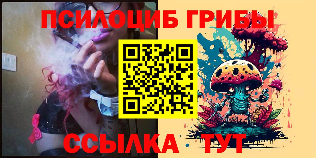 Псилоцибиновые грибы Cubensis Печора