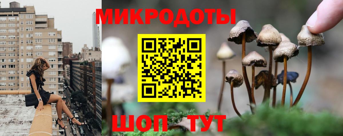 Псилоцибиновые грибы Psilocybine cubensis  Вход с VPN  Печора 